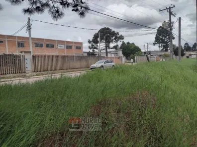 Terreno / Lote / Condomínio à venda, 15000m² no Eucaliptos, Fazenda Rio Grande