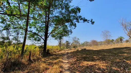 Terreno / Lote / Condomínio à venda, 20000m² no , Fortuna de Minas