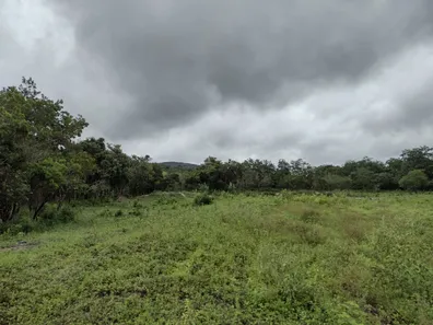 Terreno / Lote / Condomínio à venda, 20000m² no , Fortuna de Minas