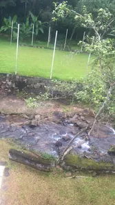 Fazenda / Sítio / Chácara com 4 Quartos à venda, 6000m² no Corujas, Guapimirim