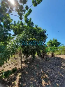 Fazenda / Sítio / Chácara com 2 Quartos à venda, 200m² no Chácara Santa Cecília, Caçapava