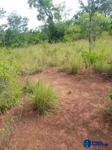Terreno / Lote / Condomínio à venda, 740m² no Setor Central, Paranã