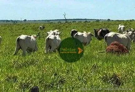 Fazenda / Sítio / Chácara à venda, 94750000m² no Parque da Barragem Setor 08, Águas Lindas de Goiás
