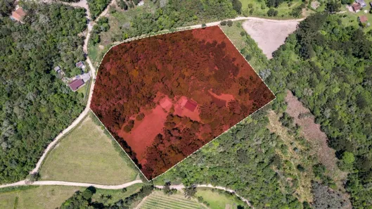 Fazenda / Sítio / Chácara com 3 Quartos à venda, 24473m² no Bateias, Campo Largo