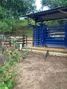 Fazenda / Sítio / Chácara com 7 Quartos à venda, 70000m² no Mantiquira, Duque de Caxias