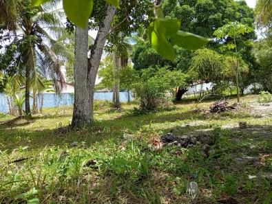 Terreno / Lote / Condomínio para venda ou aluguel, 2000m² no Cristo Rei, Dias d'Ávila