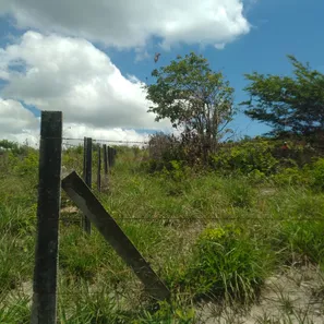 Terreno / Lote / Condomínio à venda, 450m² no , Pitimbu