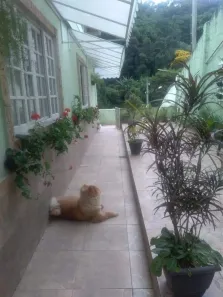 Casa com 2 Quartos à venda, 127m² no Centro, Petrópolis