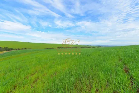 Fazenda / Sítio / Chácara com 4 Quartos à venda, 3146000m² no Colônia Dona Luíza, Ponta Grossa