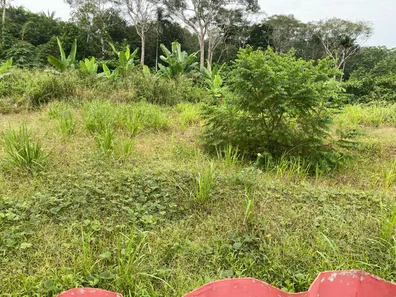 Terreno / Lote / Condomínio à venda, 96680m² no Tarumã, Manaus