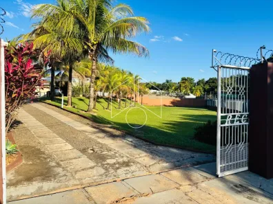 Fazenda / Sítio / Chácara com 3 Quartos para alugar, 450m² no Jardim Colibri, Marília