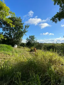 Fazenda / Sítio / Chácara com 4 Quartos à venda, 60000m² no , Bananeiras
