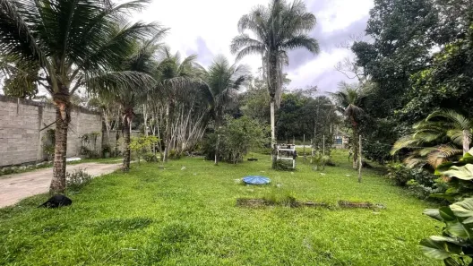 Fazenda / Sítio / Chácara com 2 Quartos à venda, 2522m² no Balneario Gaivotas, Itanhaém