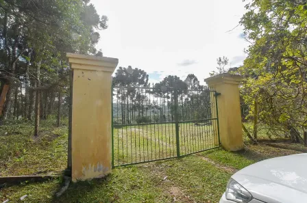 Fazenda / Sítio / Chácara à venda, 10000m² no Timbu, Campina Grande do Sul