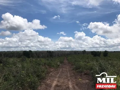 Fazenda / Sítio / Chácara à venda no , Guaraí