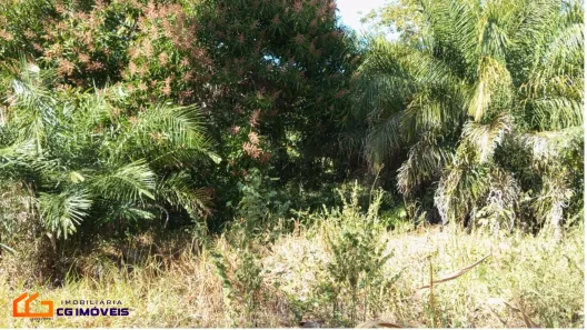 Fazenda / Sítio / Chácara com 2 Quartos à venda, 2772m² no Centro, Dois Irmãos do Buriti