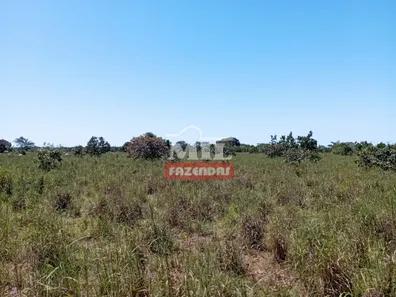 Fazenda / Sítio / Chácara à venda, 500m² no , Pium