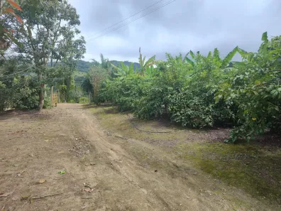 Fazenda / Sítio / Chácara com 3 Quartos à venda, 80000m² no Alpes Suiços, Gravatá