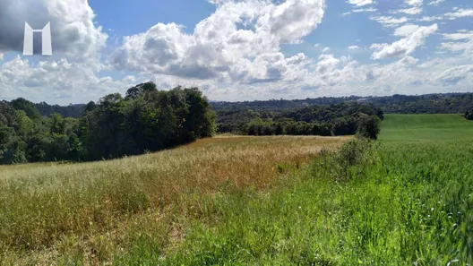 Terreno / Lote / Condomínio à venda, 96800m² no Rondinha, Campo Largo