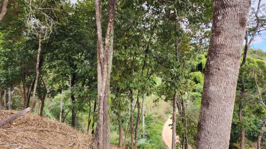 Fazenda / Sítio / Chácara à venda, 2401m² no Bom Destino, Santa Luzia