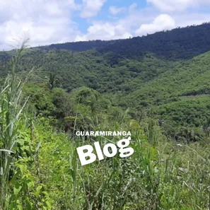 Fazenda / Sítio / Chácara à venda, 50m² no , Pacoti