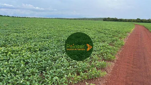 Fazenda / Sítio / Chácara à venda, 5030000m² no , Pedro Afonso