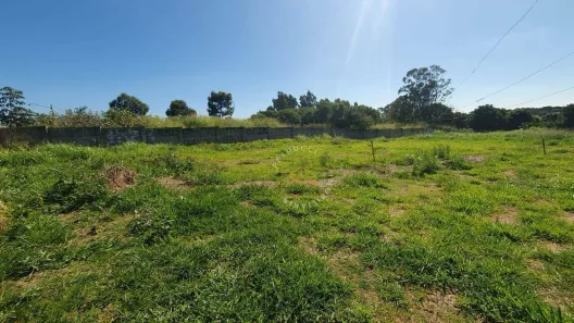 Terreno / Lote / Condomínio para venda ou aluguel, 9500m² no Chácaras São Martinho, Campinas