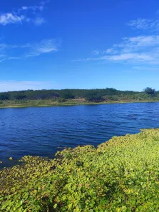 Fazenda / Sítio / Chácara com 4 Quartos à venda, 720000m² no , Brejinho
