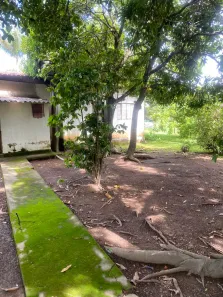 Fazenda / Sítio / Chácara com 3 Quartos à venda, 500000m² no Setor Nordeste, Formosa