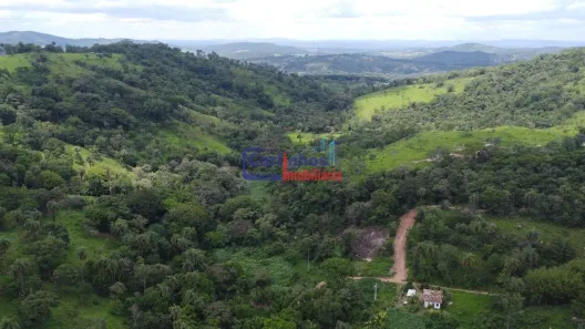 Terreno / Lote / Condomínio à venda, 20000m² no , Florestal