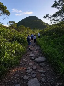 Fazenda / Sítio / Chácara à venda, 1000m² no Saboó, São Roque