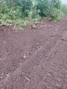 Fazenda / Sítio / Chácara à venda, 142m² no , Lagoa da Confusão