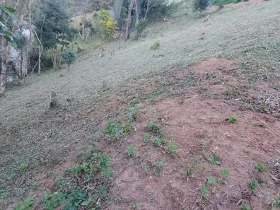Terreno / Lote / Condomínio à venda, 647m² no Bingen, Petrópolis