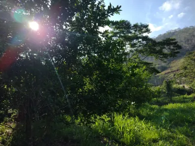 Fazenda / Sítio / Chácara com 2 Quartos à venda, 2000m² no Nossa Senhora do Amparo, Barra Mansa