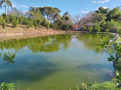 Fazenda / Sítio / Chácara com 3 Quartos à venda, 390000m² no Área Rural de Novo Gama, Novo Gama