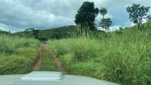 Fazenda / Sítio / Chácara com 1 Quarto à venda, 1873080m² no , Ponte Alta do Tocantins