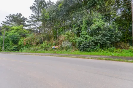 Terreno / Lote / Condomínio à venda, 4545m² no Colonia Santa Gabriela, Almirante Tamandaré