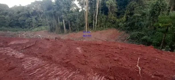 Fazenda / Sítio / Chácara com 1 Quarto à venda, 7000m² no Contenda, Contenda