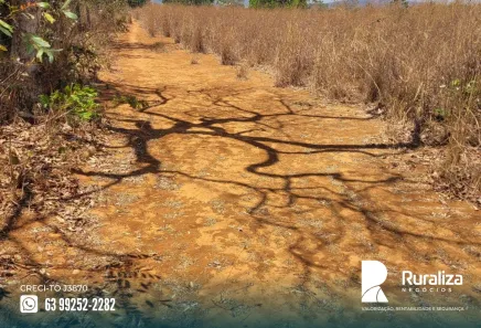 Fazenda / Sítio / Chácara à venda, 600m² no , Paraíso do Tocantins