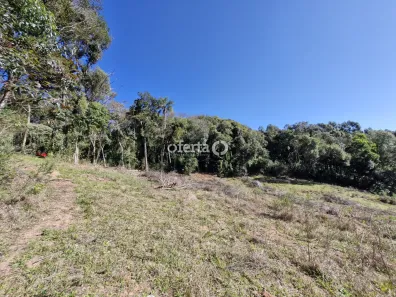Fazenda / Sítio / Chácara à venda, 20501m² no Área Rural de Araucária, Araucária