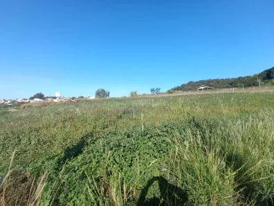 Fazenda / Sítio / Chácara à venda, 1750m² no , Assaí