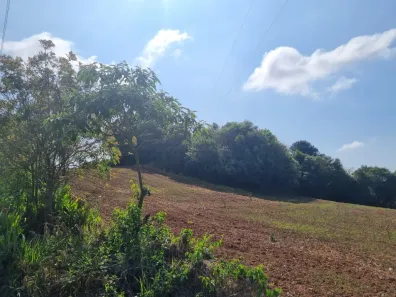 Terreno / Lote / Condomínio à venda, 60617m² no Cecilia, Campo Magro