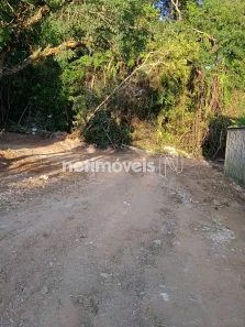 Terreno / Lote Comercial à venda, 337m² no Califórnia, Florestal