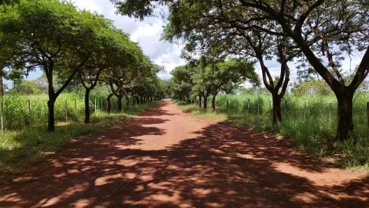 Fazenda / Sítio / Chácara à venda, 20000m² no , Brasília