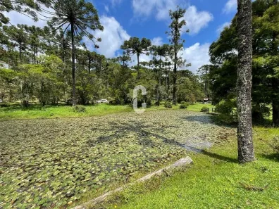 Casa de Condomínio com 5 Quartos para alugar, 500m² no , Campos do Jordão
