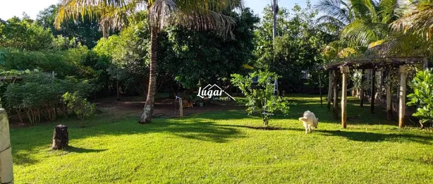 Fazenda / Sítio / Chácara com 3 Quartos para alugar, 300m² no Sítios de Recreio Letícia (Padre Nóbrega), Marília