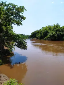 Fazenda / Sítio / Chácara com 3 Quartos à venda, 700000m² no , Anastácio