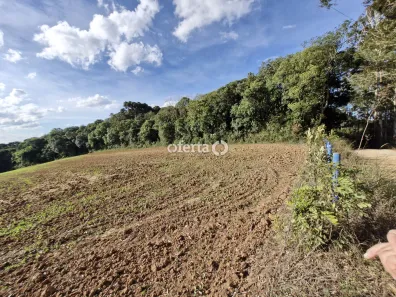 Fazenda / Sítio / Chácara à venda, 21917m² no , Contenda