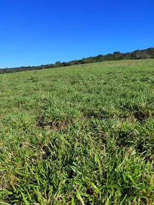 Fazenda / Sítio / Chácara com 4 Quartos à venda, 82m² no , Brejinho