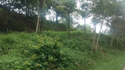 Fazenda / Sítio / Chácara com 2 Quartos à venda, 11000m² no Barreira (Bacaxá), Saquarema